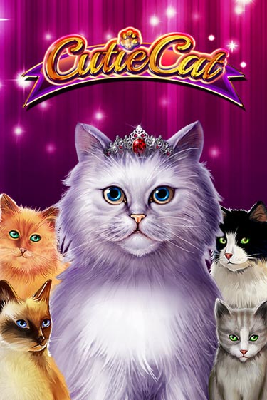 Бесплатная версия игры Cutie Cat | VAVADA KZ 