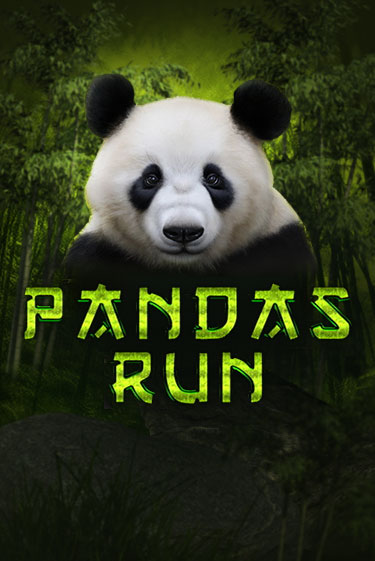 Бесплатная версия игры Panda's Run | VAVADA KZ 